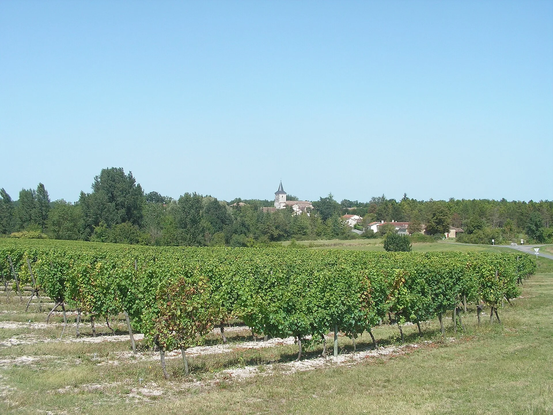 Le vignoble de Bergerac en quelques mots